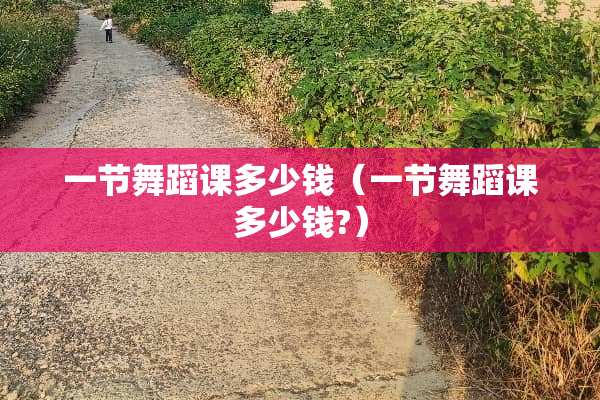 一节舞蹈课多少钱（一节舞蹈课多少钱?）