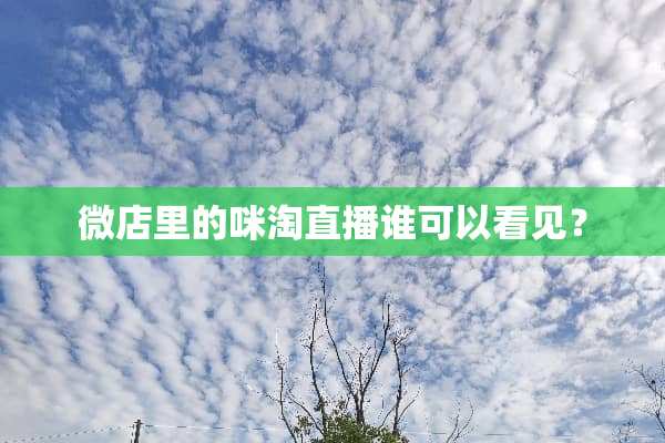 微店里的咪淘直播谁可以看见？