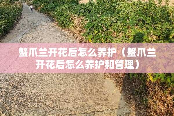 蟹爪兰开花后怎么养护（蟹爪兰开花后怎么养护和管理）