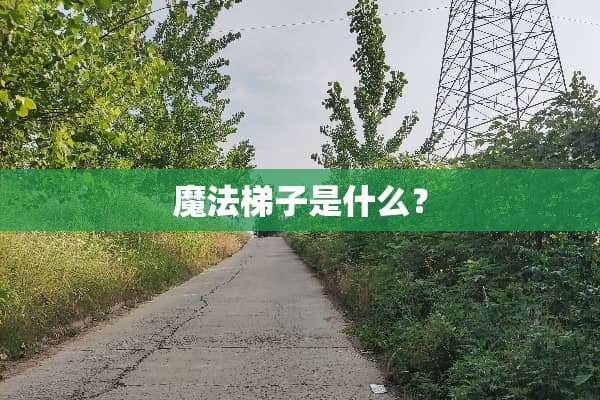 魔法梯子是什么？