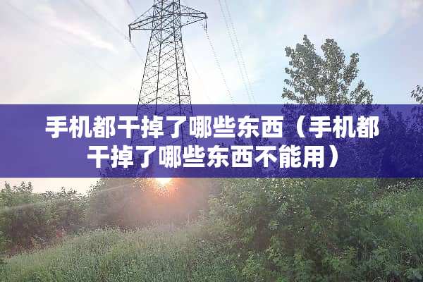 手机都干掉了哪些东西（手机都干掉了哪些东西不能用）
