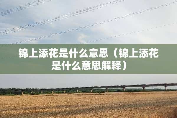锦上添花是什么意思（锦上添花是什么意思解释）