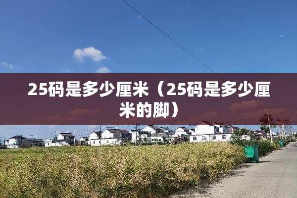 25码是多少厘米（25码是多少厘米的脚）