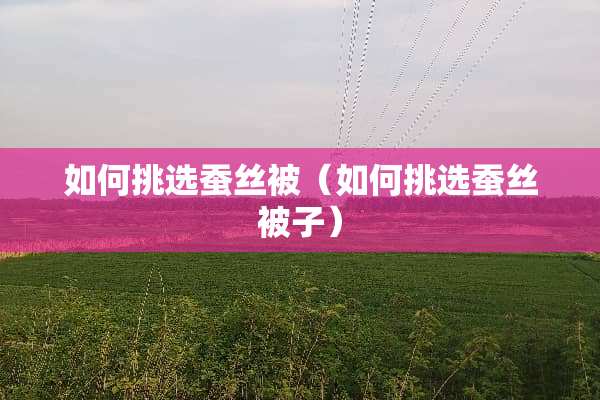 如何挑选蚕丝被（如何挑选蚕丝被子）