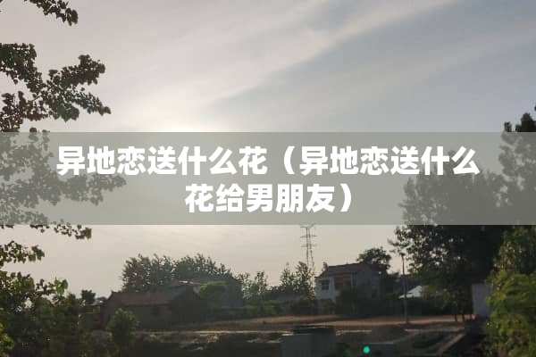 异地恋送什么花（异地恋送什么花给男朋友）