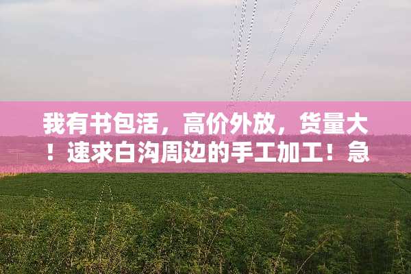 我有书包活，高价外放，货量大！速求白沟周边的手工加工！急急急？