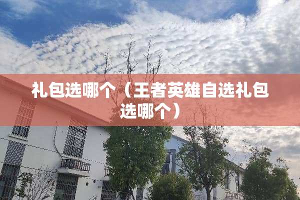 礼包选哪个（王者英雄自选礼包选哪个）