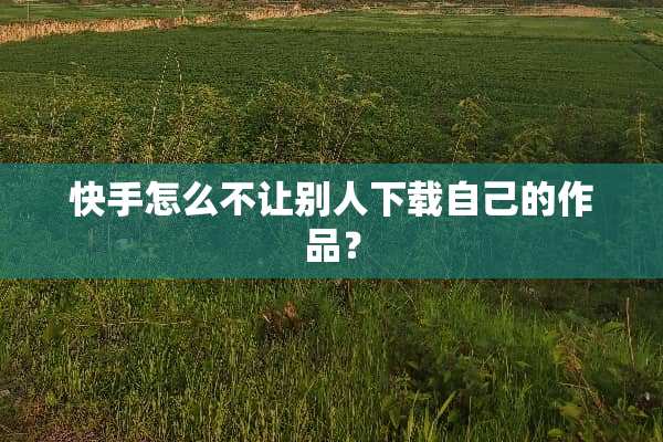 快手怎么不让别人下载自己的作品？