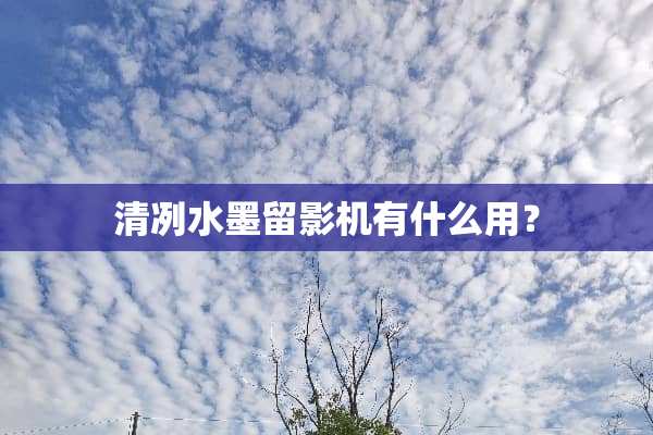 清冽水墨留影机有什么用？