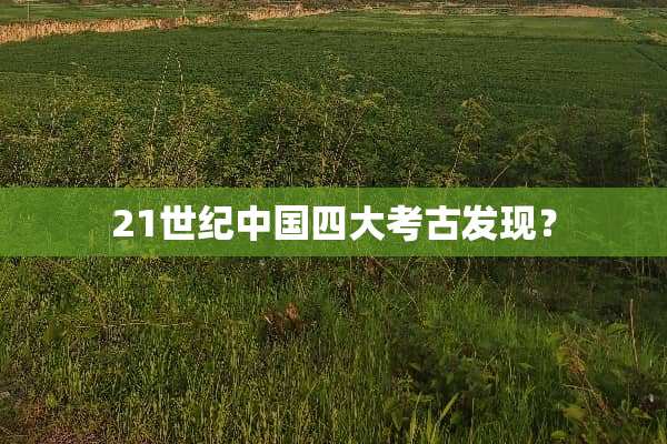 21世纪中国四大考古发现？