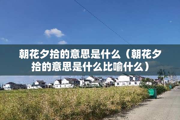 朝花夕拾的意思是什么（朝花夕拾的意思是什么比喻什么）