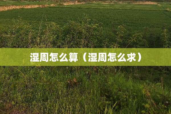 湿周怎么算（湿周怎么求）