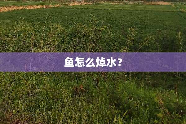 鱼怎么焯水？