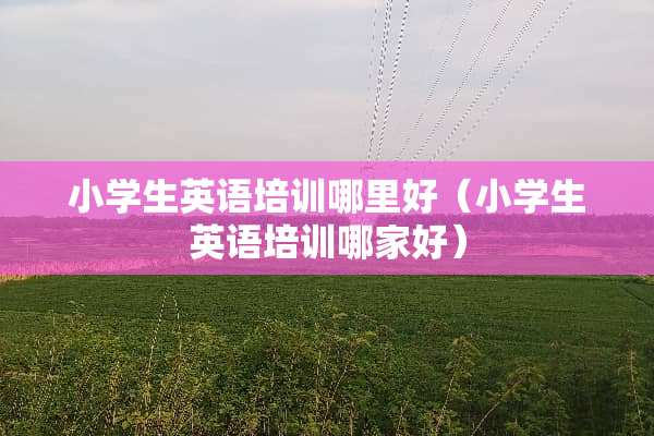 小学生英语培训哪里好（小学生英语培训哪家好）