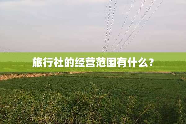 旅行社的经营范围有什么？
