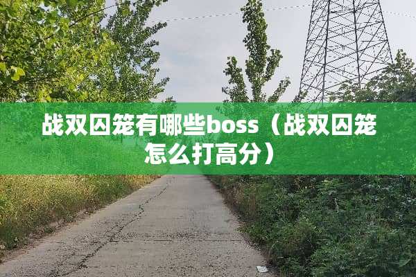 战双囚笼有哪些boss（战双囚笼怎么打高分）