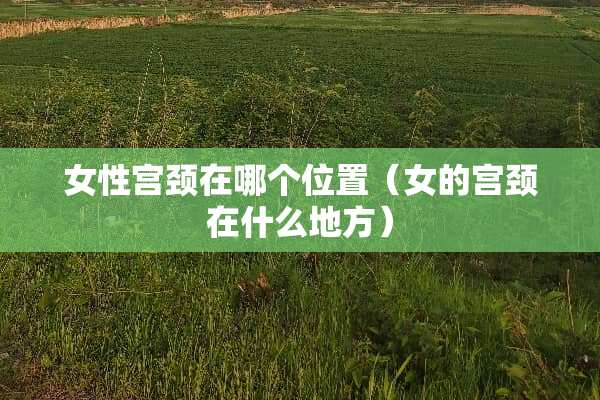 女性宫颈在哪个位置（女的宫颈在什么地方）