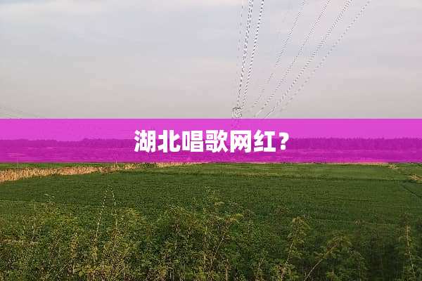 湖北唱歌网红？
