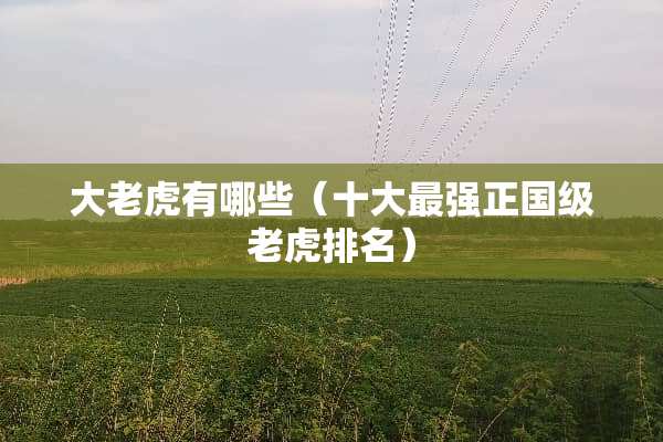 大老虎有哪些（十大最强正国级老虎排名）