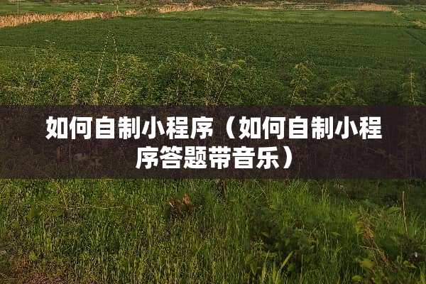 如何自制小程序（如何自制小程序答题带音乐）