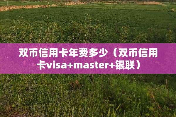 双币信用卡年费多少（双币信用卡visa+master+银联）