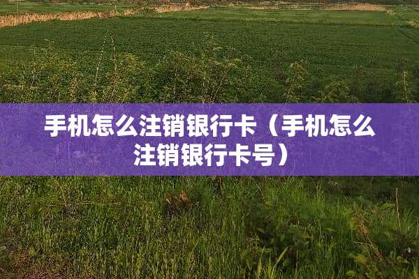 手机怎么注销***（手机怎么注销***号）