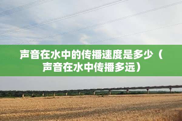 声音在水中的传播速度是多少（声音在水中传播多远）