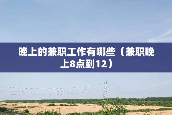 晚上的兼职工作有哪些（兼职晚上8点到12）