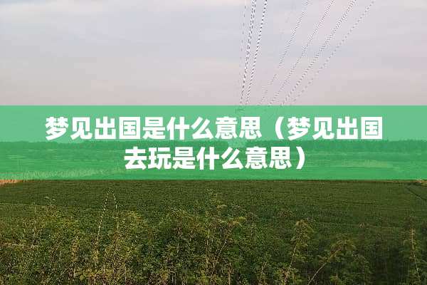 梦见出国是什么意思（梦见出国去玩是什么意思）