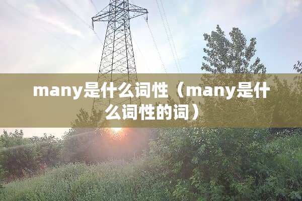 many是什么词性（many是什么词性的词）
