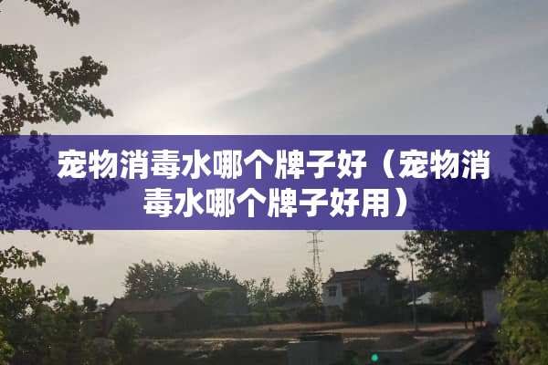 宠物消毒水哪个牌子好（宠物消毒水哪个牌子好用）