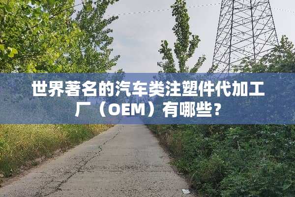 世界著名的汽车类注塑件代加工厂（OEM）有哪些？