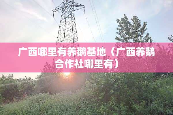 广西哪里有养鹅基地（广西养鹅合作社哪里有）