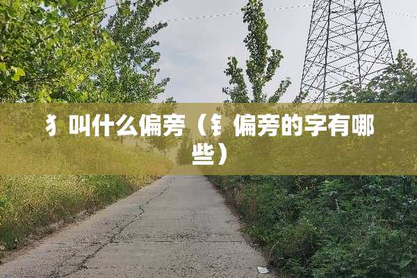 犭叫什么偏旁（钅偏旁的字有哪些）