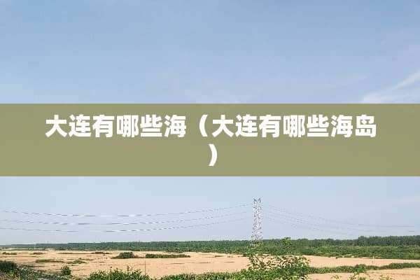 大连有哪些海（大连有哪些海岛）