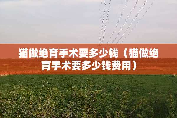 猫做绝育手术要多少钱（猫做绝育手术要多少钱费用）