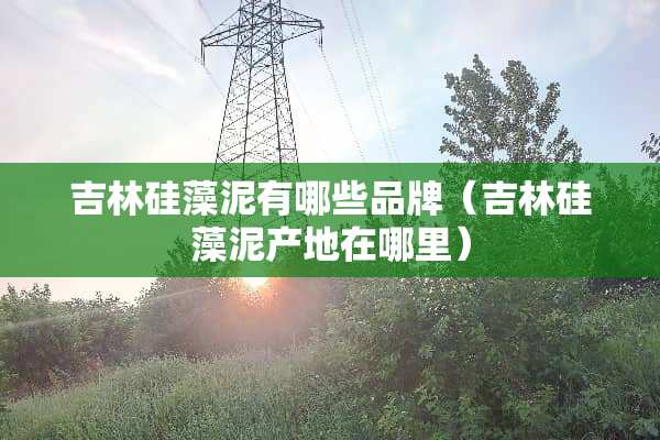 吉林硅藻泥有哪些品牌（吉林硅藻泥产地在哪里）