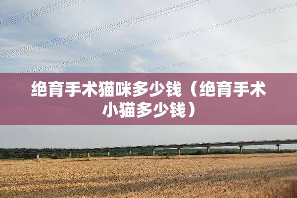 绝育手术猫咪多少钱（绝育手术小猫多少钱）