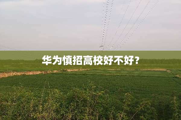 华为慎招高校好不好？