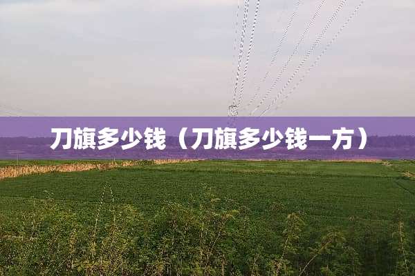 刀旗多少钱（刀旗多少钱一方）