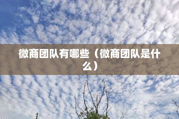 微商团队有哪些（微商团队是什么）