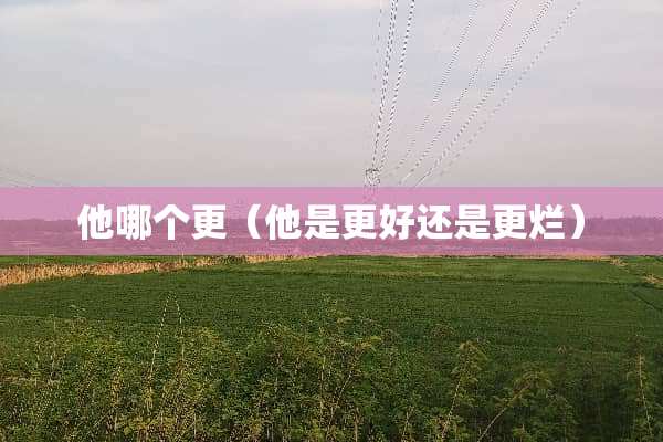 他哪个更（他是更好还是更烂）
