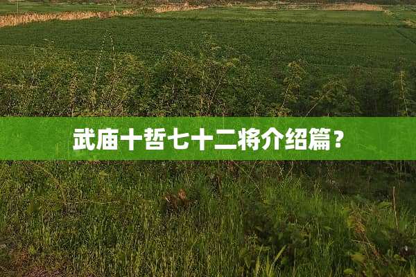 武庙十哲七十二将介绍篇？