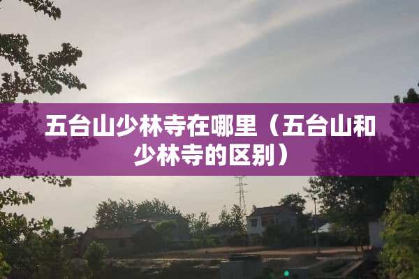 五台山少林寺在哪里（五台山和少林寺的区别）