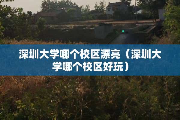 深圳大学哪个校区漂亮（深圳大学哪个校区好玩）