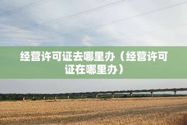 经营许可证去哪里办（经营许可证在哪里办）