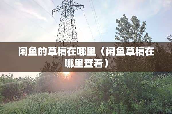 闲鱼的草稿在哪里（闲鱼草稿在哪里查看）
