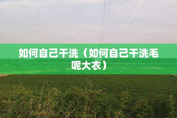 如何自己干洗（如何自己干洗毛呢大衣）