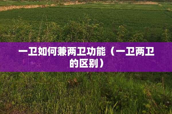 一卫如何兼两卫功能（一卫两卫的区别）