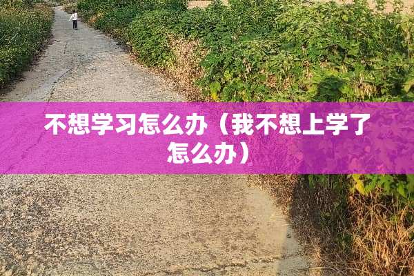 不想学习怎么办（我不想上学了怎么办）